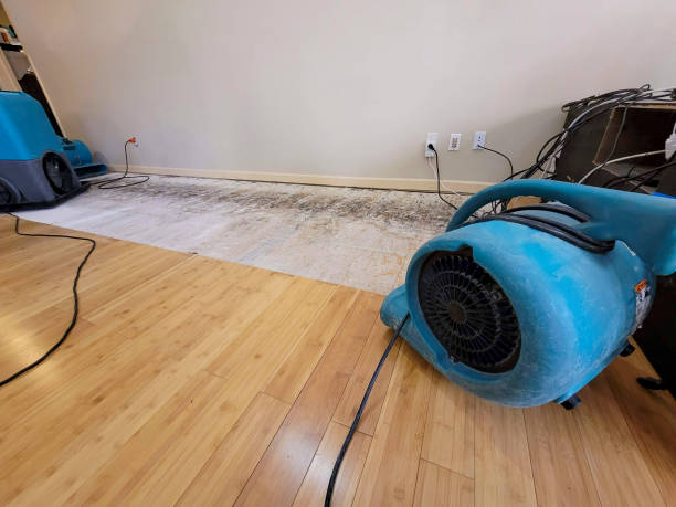Professional Structural Drying technician working in Yorkville, WI